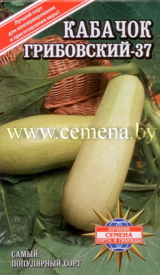 купить семена кабачка почтой в Беларуси